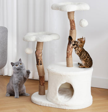 Pet Furniture