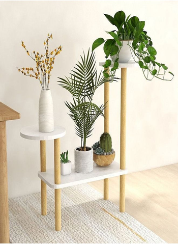 Home & Garden
