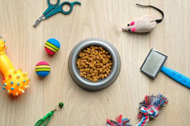 Pet Accessories